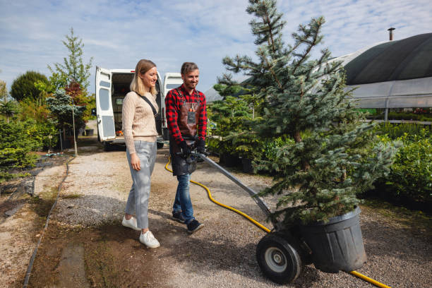 How Our Tree Care Process Works  in  Chanute, KS